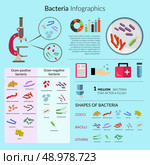 Bacteria and microorganisms infographic set with microscope and medical charts vector illustration. Стоковая иллюстрация, агентство Ingram Publishing / Фотобанк Лори