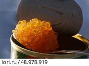 caviar salmon on a teaspoon. Стоковое фото, агентство Ingram Publishing / Фотобанк Лори