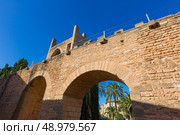 Alcudia Old Town fortress wall in Majorca Mallorca Balearic island of Spain. Стоковое фото, агентство Ingram Publishing / Фотобанк Лори