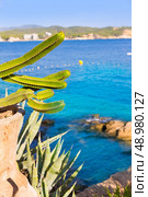 Majorca Cala Fornells beach Paguera Peguera Calvia in Mallorca at Balearic island of Spain. Стоковое фото, агентство Ingram Publishing / Фотобанк Лори