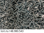 Metal screws. Construction and repair. Стоковое фото, фотограф Регина Ерофеева / Фотобанк Лори