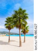 Majorca Platja Palmanova beach Son Maties Mallorca Calvia balearic islands of Spain. Стоковое фото, агентство Ingram Publishing / Фотобанк Лори