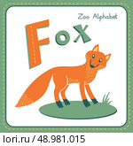 Letter F - Fox. Alphabet with cute animals. Vector illustration.Other letters from this set are available in my portfolio. Стоковая иллюстрация, агентство Ingram Publishing / Фотобанк Лори