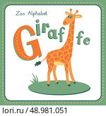 Letter G - Giraffe. Alphabet with cute animals. Vector illustration. Other letters from this set are available in my portfolio. Стоковая иллюстрация, агентство Ingram Publishing / Фотобанк Лори