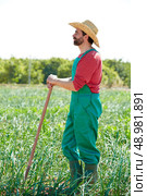 Farmer man working in onion orchard field with hoe tool. Стоковое фото, агентство Ingram Publishing / Фотобанк Лори