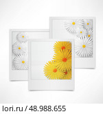 flowers on the photo. Стоковая иллюстрация, агентство Ingram Publishing / Фотобанк Лори
