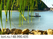 asia in  kho phangan thailand bay isle   beach    rocks pirogue palm and south china sea . Стоковое фото, агентство Ingram Publishing / Фотобанк Лори