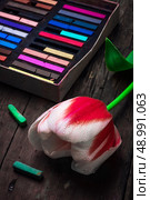 Tulip and box with crayons. Стоковое фото, агентство Ingram Publishing / Фотобанк Лори