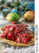 Kalina on gold tray and Christmas decorations. Стоковое фото, агентство Ingram Publishing / Фотобанк Лори