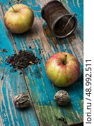 tea leaves and red apple on wooden background.The image is tinted in vintage style. tea leaves and red apple on wooden background. Стоковое фото, агентство Ingram Publishing / Фотобанк Лори