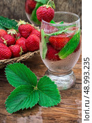 glass of refreshing strawberry cocktail. glass with drink of strawberries and mint on the background of the basket full berries.Selective focus.Photo tinted. Стоковое фото, агентство Ingram Publishing / Фотобанк Лори
