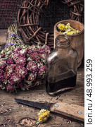 elixir potion of herbs. Herbs and glass bulb with decoction of them in rustic style.The image is tinted. Стоковое фото, агентство Ingram Publishing / Фотобанк Лори