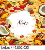 Nuts mix with coconut chestnut nutmeg peanut vector illustration. Nuts Mix Background. Стоковая иллюстрация, агентство Ingram Publishing / Фотобанк Лори
