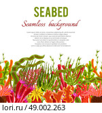 Seabed background with corals and seaweed seamless border vector illustration. Coral Seabed Background. Стоковая иллюстрация, агентство Ingram Publishing / Фотобанк Лори
