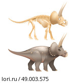 Triceratops dinosaur art with skeleton. Life triceratops dinosaur with skeleton in prehistoric times art isolated vector illustration. Стоковая иллюстрация, агентство Ingram Publishing / Фотобанк Лори