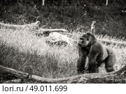 High resolution photo in best quality. Стоковое фото, агентство Ingram Publishing / Фотобанк Лори
