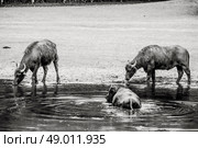 High resolution photo in best quality. Стоковое фото, агентство Ingram Publishing / Фотобанк Лори