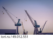 Cranes at a shipping harbor in the morning. Стоковое фото, агентство Ingram Publishing / Фотобанк Лори