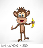 Monkey cartoon. Стоковая иллюстрация, агентство Ingram Publishing / Фотобанк Лори