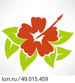 Hibiscus flower. Стоковая иллюстрация, агентство Ingram Publishing / Фотобанк Лори
