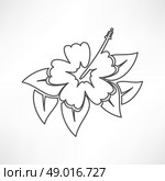 Hibiscus flower. Стоковая иллюстрация, агентство Ingram Publishing / Фотобанк Лори