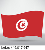 Tunisian flag icon. Стоковая иллюстрация, агентство Ingram Publishing / Фотобанк Лори