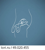 Male reproductive system sketch. Стоковая иллюстрация, агентство Ingram Publishing / Фотобанк Лори