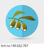 Olive branch. Стоковая иллюстрация, агентство Ingram Publishing / Фотобанк Лори
