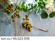 Capers pickled with plant and caper plant flower on vintage spoon. Стоковое фото, агентство Ingram Publishing / Фотобанк Лори