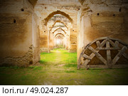 old moroccan granary in the green grass and archway  wall. Стоковое фото, агентство Ingram Publishing / Фотобанк Лори