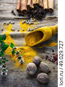Set of different spices on the old wooden table. Стоковое фото, агентство Ingram Publishing / Фотобанк Лори