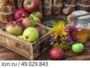Honey Spas. wooden box with the harvest of apples and honey for the holiday apple spas.Photo tinted. Стоковое фото, агентство Ingram Publishing / Фотобанк Лори
