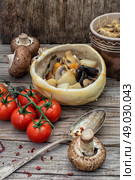 vegetable ragu. vegetable hot plate made of baked dough cooked in  rustic style.Photo tinted. Стоковое фото, агентство Ingram Publishing / Фотобанк Лори