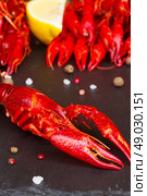 Crayfish.  red boiled  Crayfish on black board with spices. Стоковое фото, агентство Ingram Publishing / Фотобанк Лори
