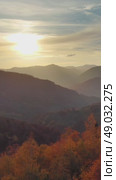 Flying over colorful foliage at sunset in mountains. Стоковое видео, видеограф Михаил Коханчиков / Фотобанк Лори
