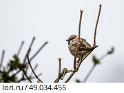 High resolution photo in best quality. Стоковое фото, агентство Ingram Publishing / Фотобанк Лори
