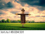Scarecrow with a leather jacket on a green field. Стоковое фото, агентство Ingram Publishing / Фотобанк Лори