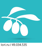 Olive branch. Стоковая иллюстрация, агентство Ingram Publishing / Фотобанк Лори