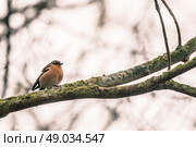 High resolution photo in best quality. Стоковое фото, агентство Ingram Publishing / Фотобанк Лори