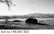 French farmland of the Pyrenees Orientales. Стоковое фото, агентство Ingram Publishing / Фотобанк Лори