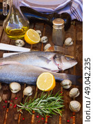 Seabass. Two Seabass raw fish on wooden table . Стоковое фото, агентство Ingram Publishing / Фотобанк Лори