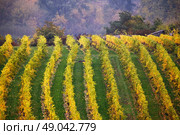 Cloudy autumn in Wachau valley. Стоковое фото, агентство Ingram Publishing / Фотобанк Лори