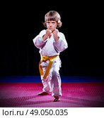 Little boy aikido fighter on black. Стоковое фото, агентство Ingram Publishing / Фотобанк Лори