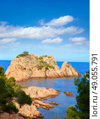 Aigua Xelida beach Cala in Tamariu Parafrugell of Girona at Catalonia Spain. Стоковое фото, агентство Ingram Publishing / Фотобанк Лори