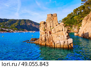 Aigua Blava beach Cala in Begur of Girona at Catalonia Spain. Стоковое фото, агентство Ingram Publishing / Фотобанк Лори