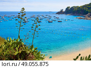 Calella de Parafrugell beach in Costa Brava of Girona at Catalonia Spain. Стоковое фото, агентство Ingram Publishing / Фотобанк Лори