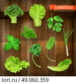 Greens, vector icon set on wooden board. Стоковая иллюстрация, агентство Ingram Publishing / Фотобанк Лори