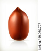 Peanut, vector icon. Стоковая иллюстрация, агентство Ingram Publishing / Фотобанк Лори