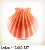 Seashell, vector icon. Стоковая иллюстрация, агентство Ingram Publishing / Фотобанк Лори