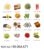 Icons Set Of Spices. Icons set with titles of piquant food ingredients and fragrant spices realistic isolated vector illustration. Стоковая иллюстрация, агентство Ingram Publishing / Фотобанк Лори